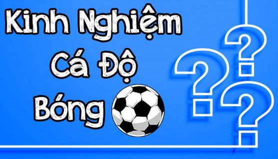 Cá cược bóng đá - Niềm đam mê cuồng nhiệt và những rủi ro tiềm ẩn
