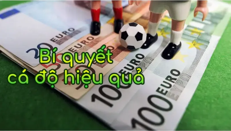 Quản lý ngân sách cá cược hiệu quả